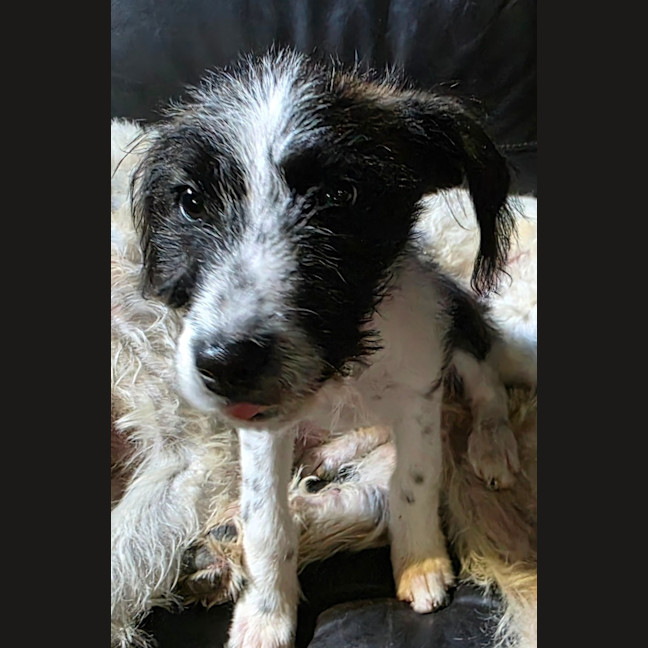Photo of Maggie