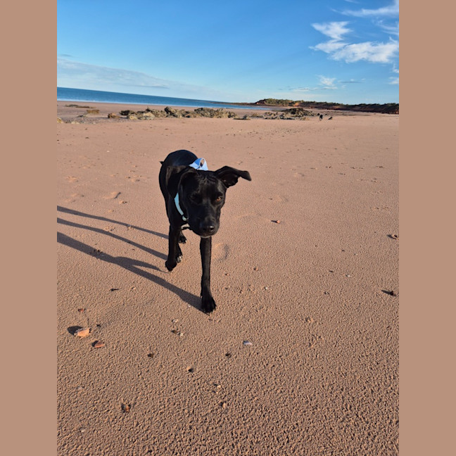 Photo of Binky