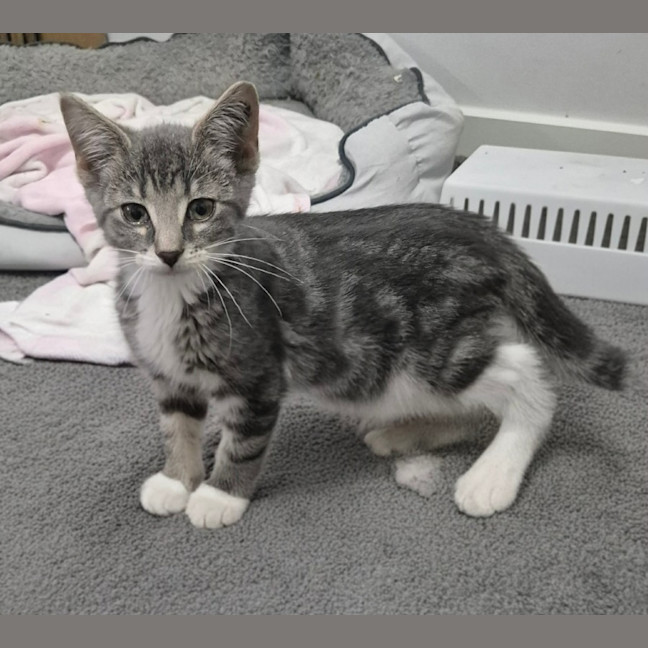Photo of Lulu