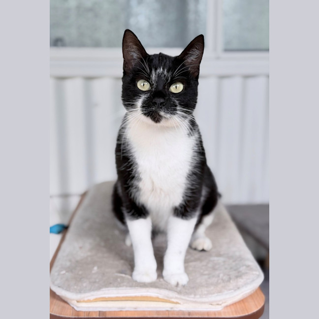 Photo of Fleur