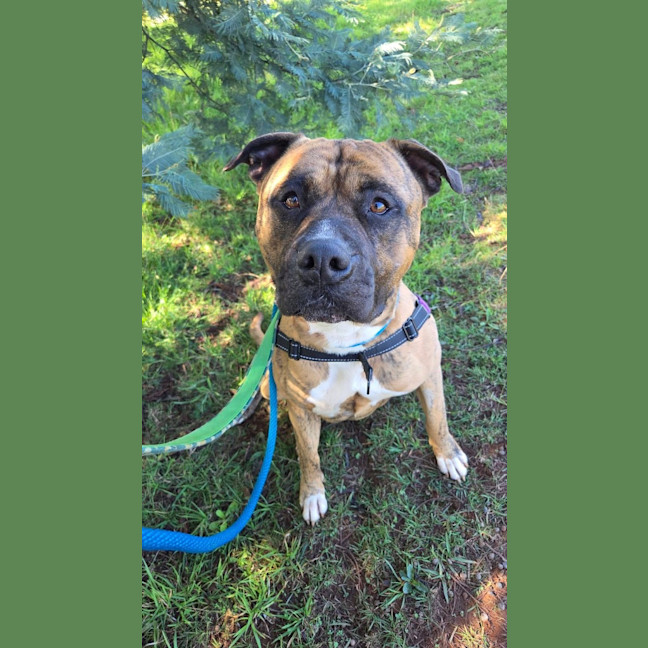 Photo of Odin