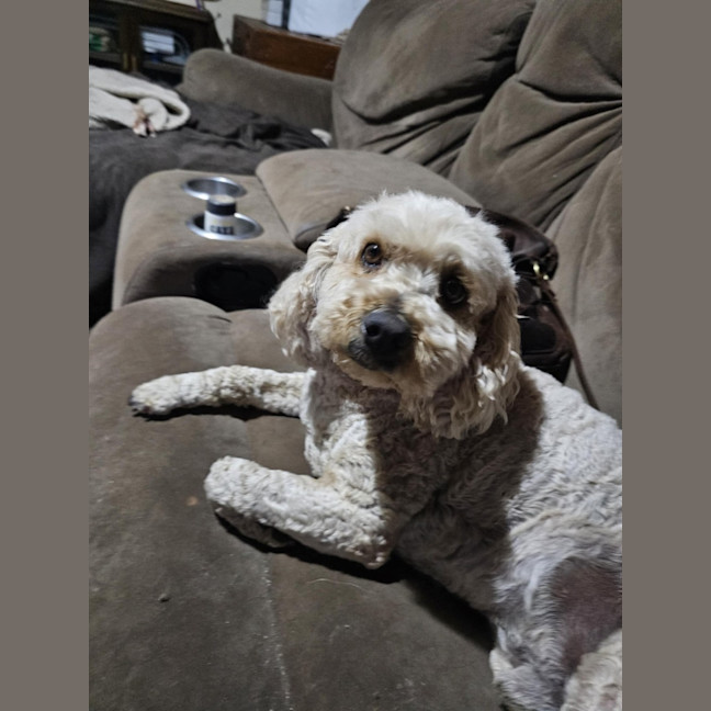 Photo of Cali And Theo