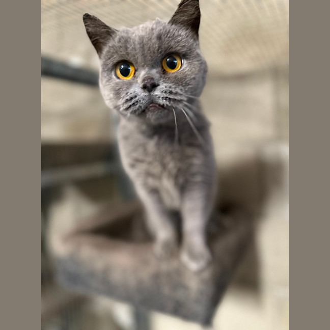 Photo of Fafa And Britt