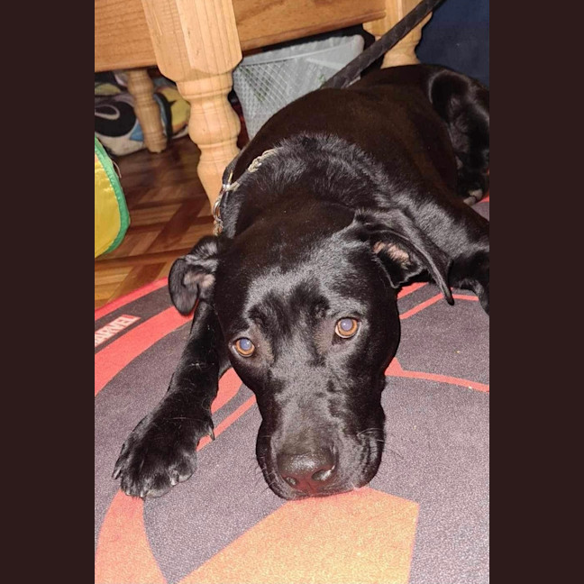 Photo of Max