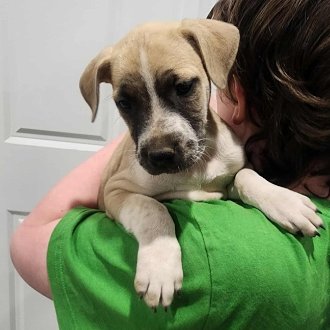 Photo of Epponnee Rae