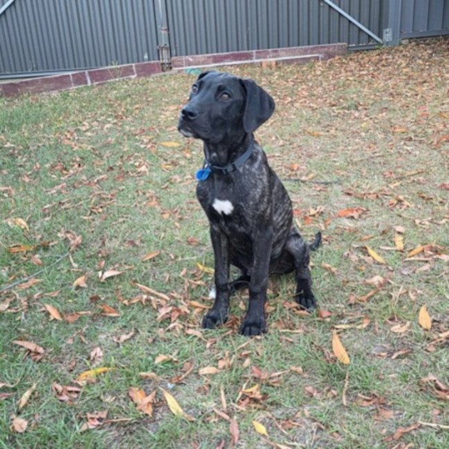 Photo of Titan