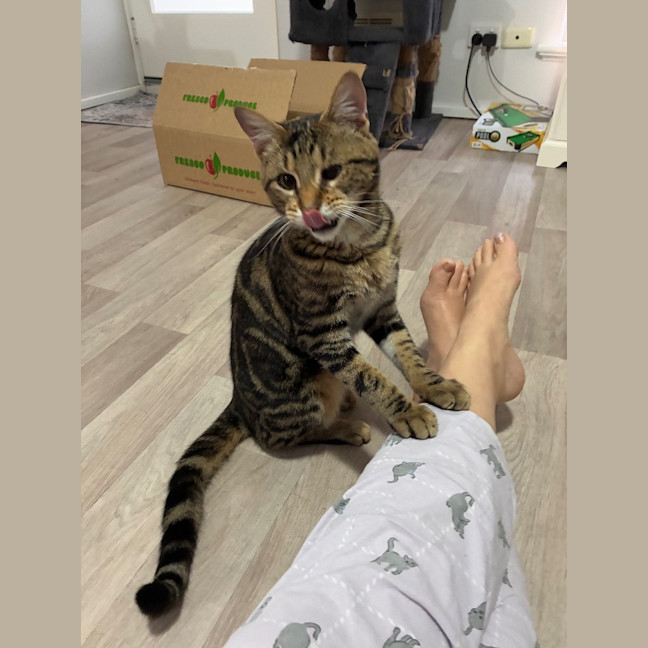 Photo of Oscar
