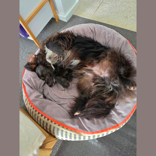 Photo of Charlie