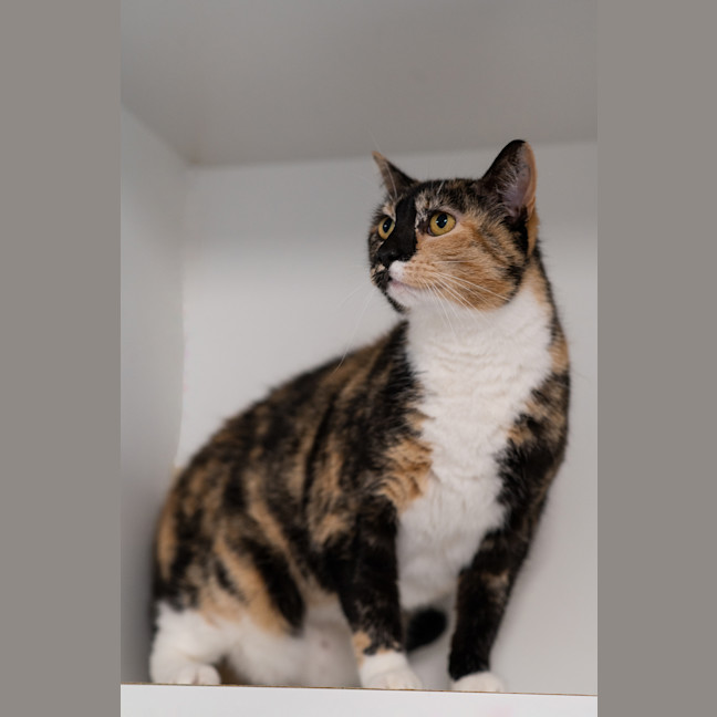 Photo of Bonnie