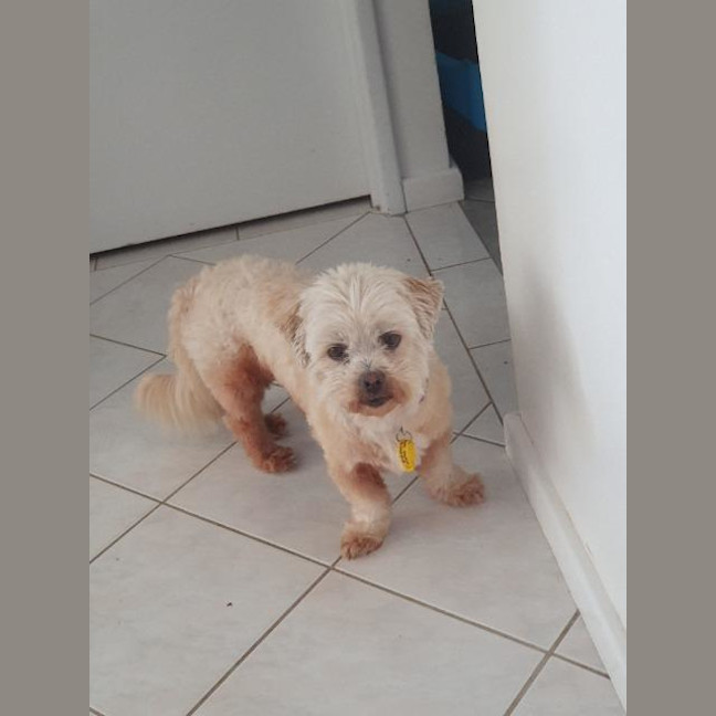 Photo of Roxy