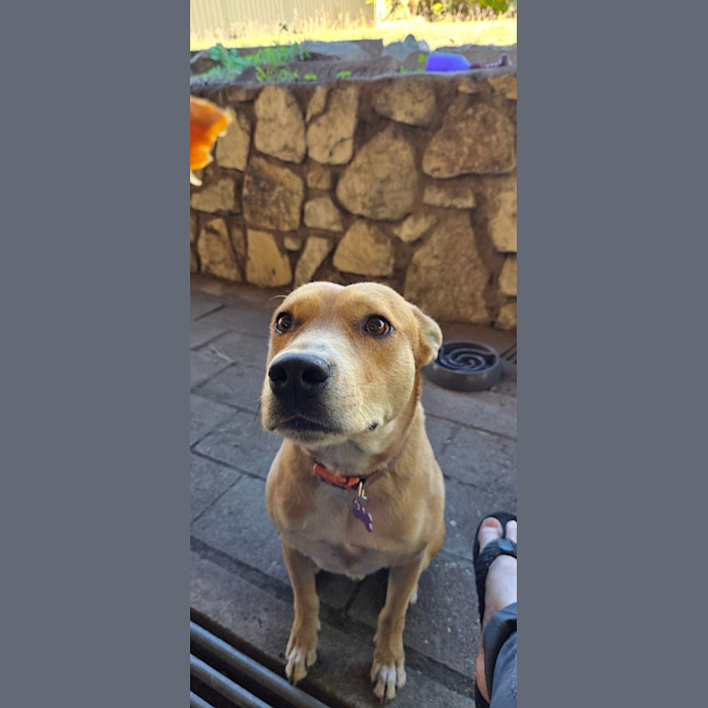 Photo of Thor