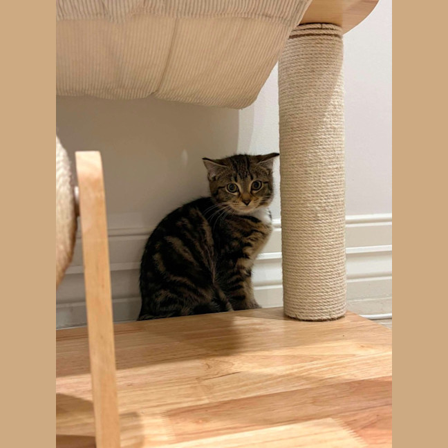 Photo of Suki