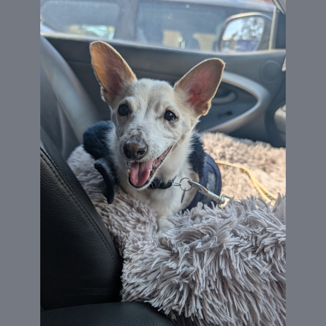 Photo of Max