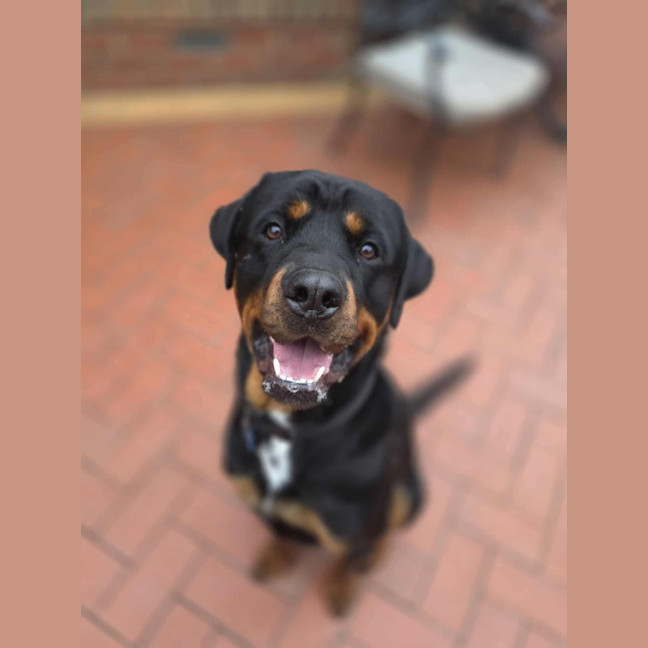 Photo of Big Baby Ben