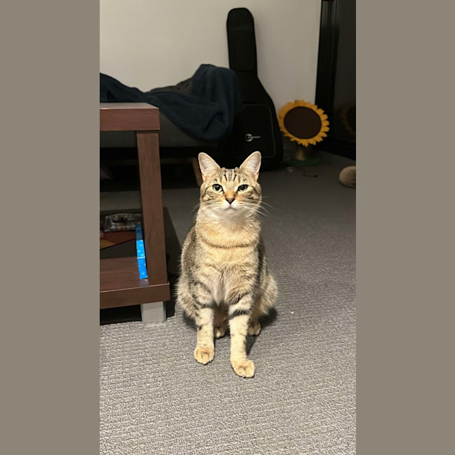 Photo of Fred & Barney