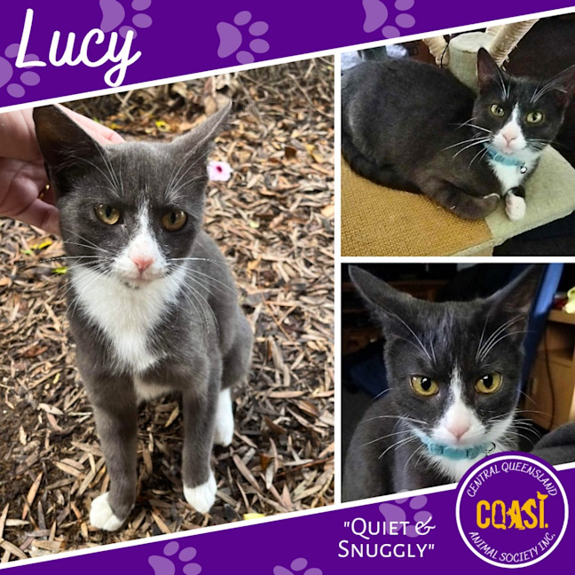 Photo of Lucy
