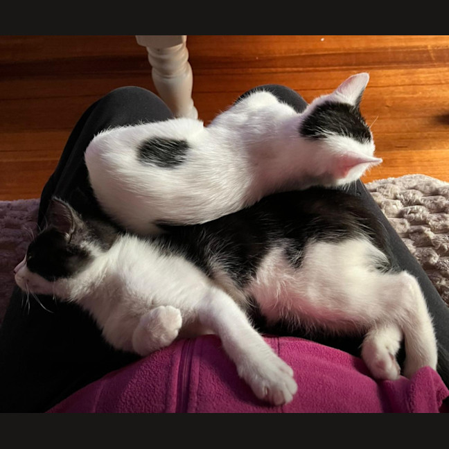 Photo of Adelina & Flora