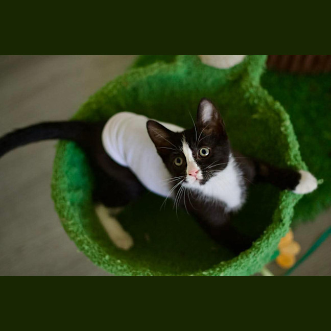 Photo of 🤩 Charlie Girl 🤩