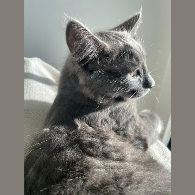 Photo of Charlie King