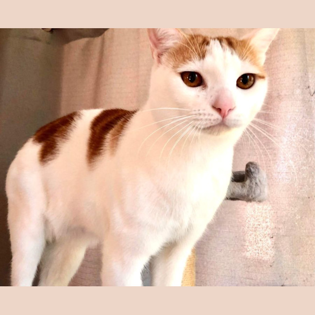 Photo of Jasper