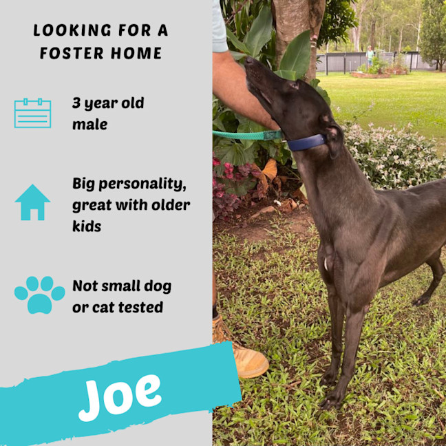 Photo of Joe