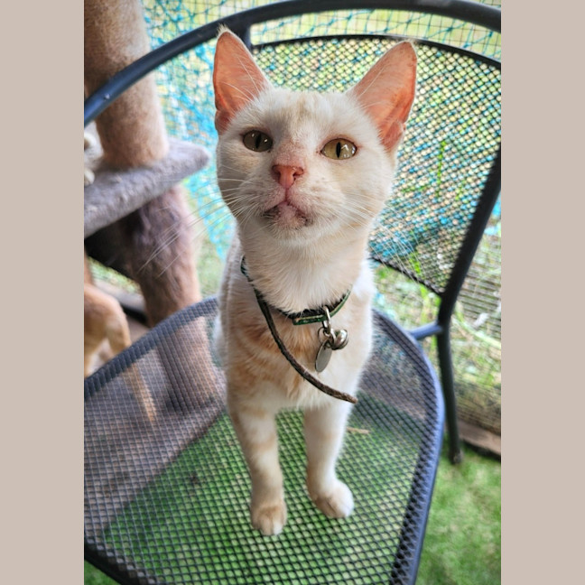 Photo of Gretle 