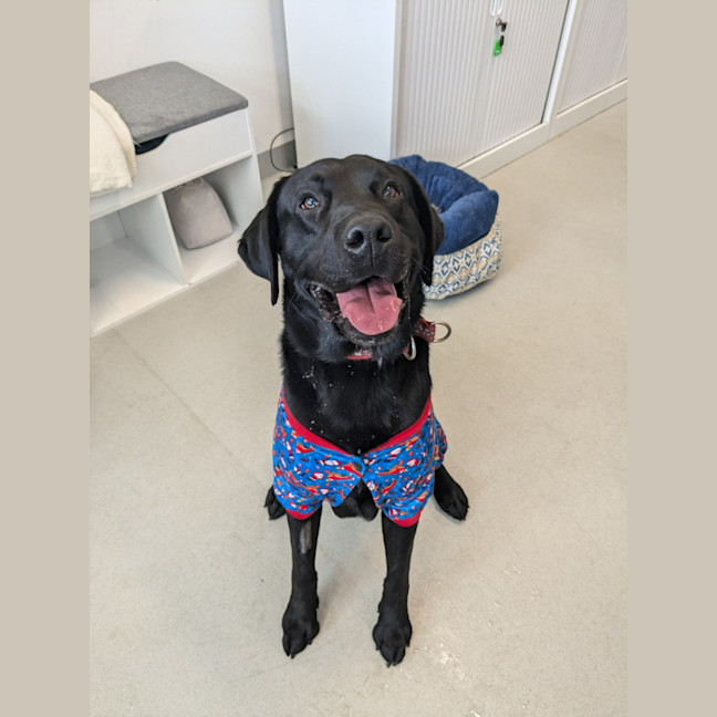 Photo of 🍕 Russell 5570🍕