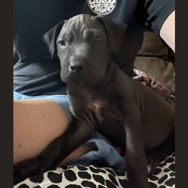 Photo of Lj (Lucille Junior)