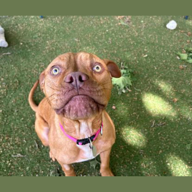 Photo of Ruby