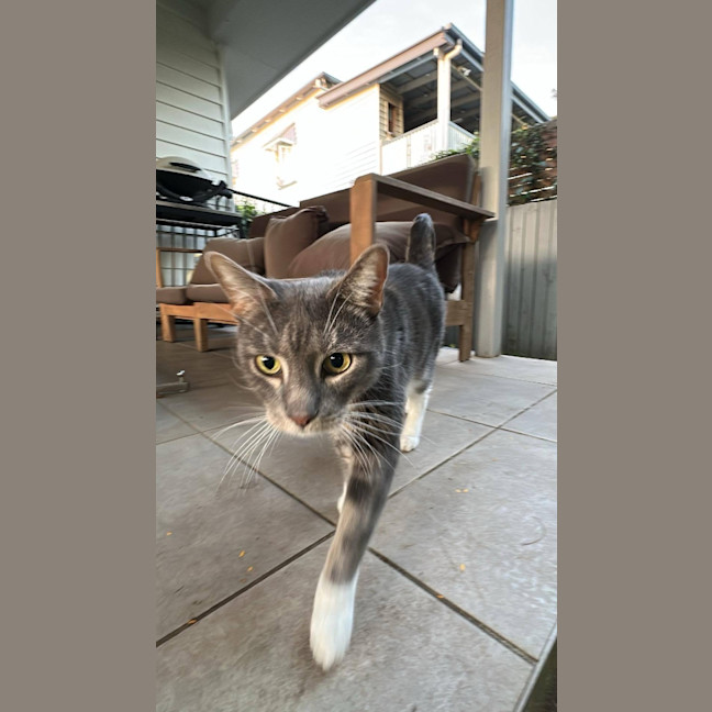Photo of Vera
