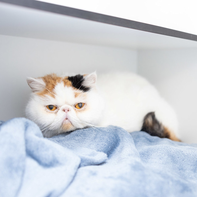 Photo of Missy Finn