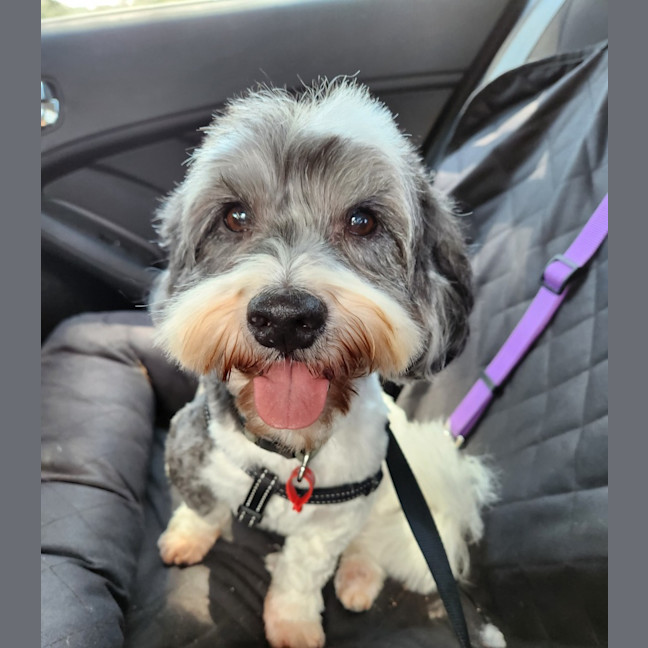 Photo of Mack Jablonski