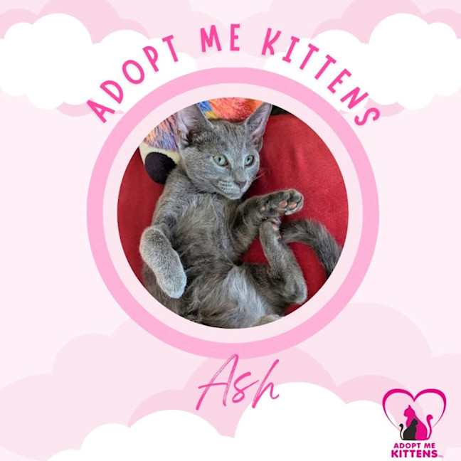 Photo of Ash