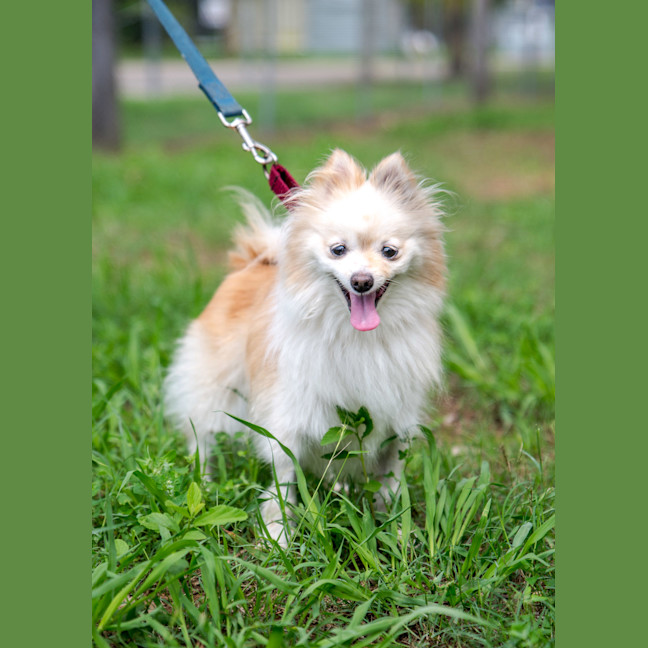 Photo of Bellatrix