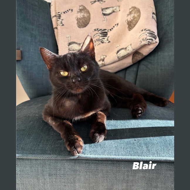 Photo of Blair