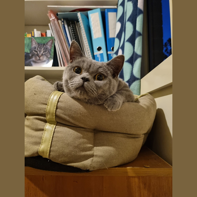 Photo of Frank