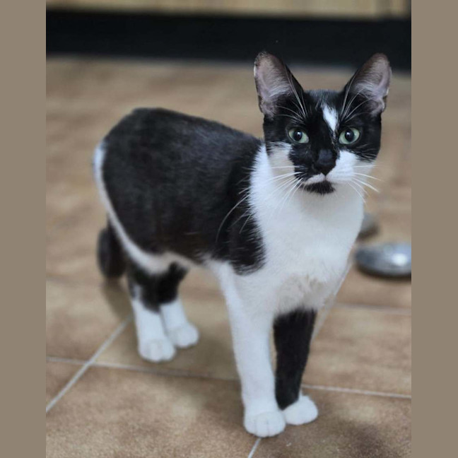 Photo of Blinky