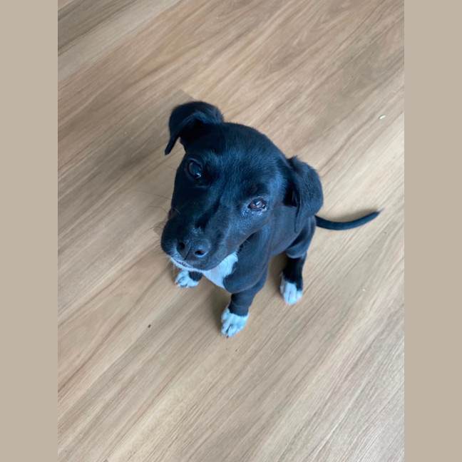 Photo of Lexi