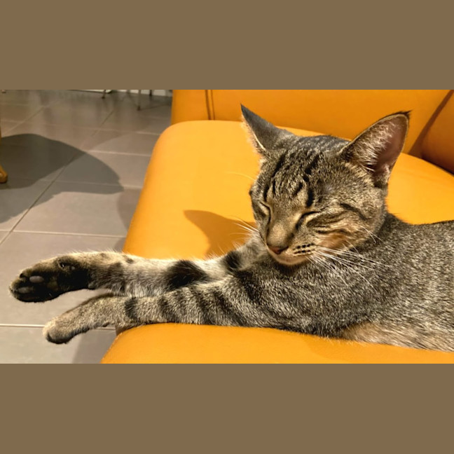 Photo of Freda