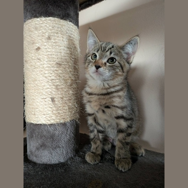 Photo of Artemis
