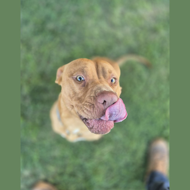 Photo of Barney