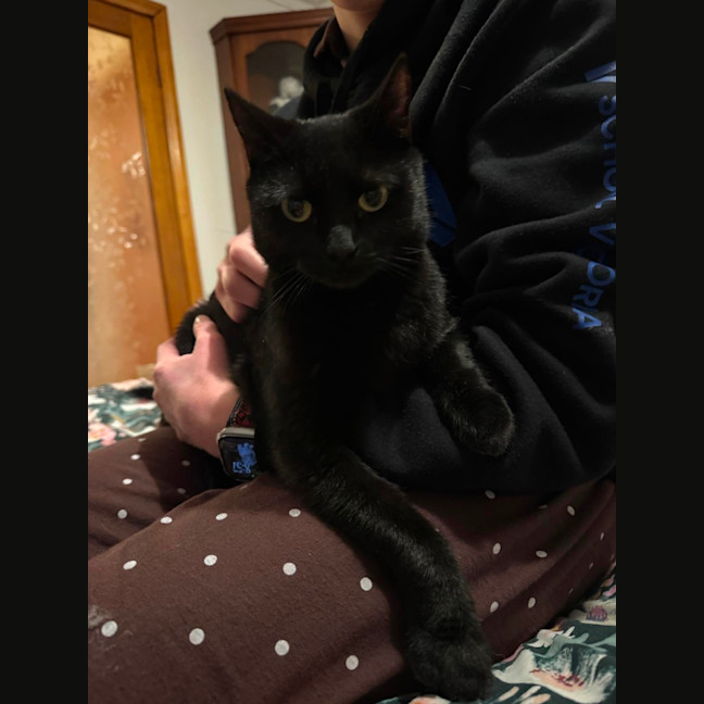 Photo of Velvet 