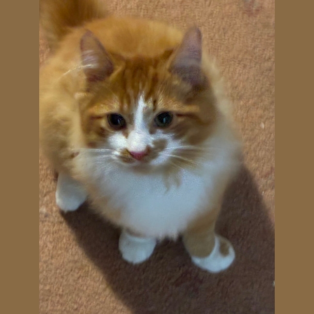 Photo of Benny