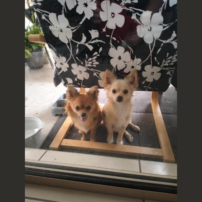 Photo of Reeba And Allan 