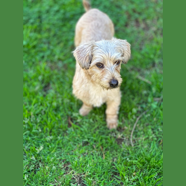 Photo of Benson