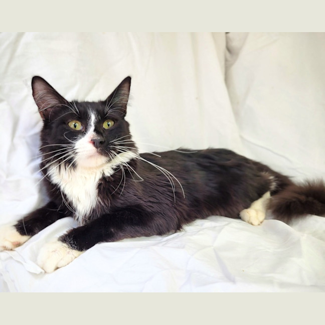 Photo of Jaxson 🖤