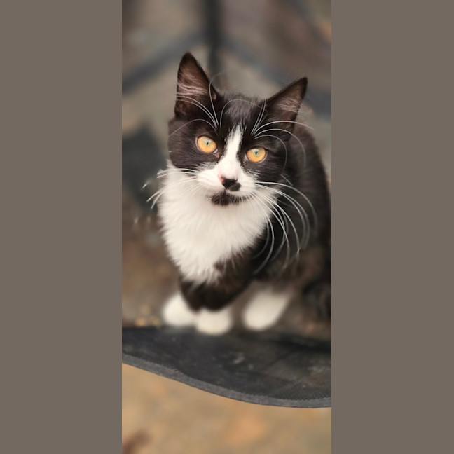 Photo of Elaina