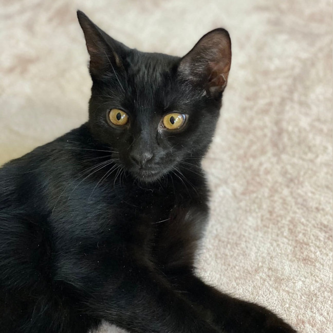 Photo of Pete