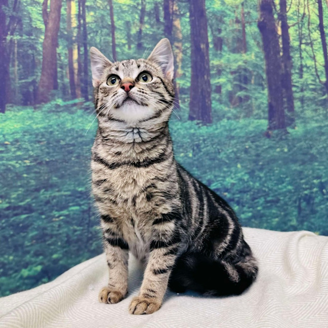 Photo of Bobby   Located In Preston