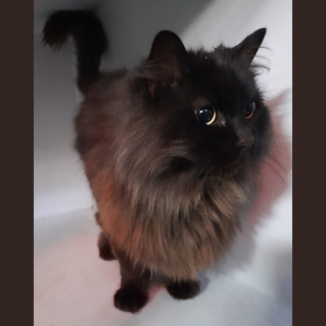 Photo of Amelie